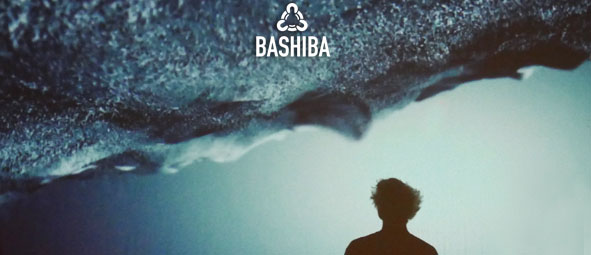 BASHIBA Data Visualization