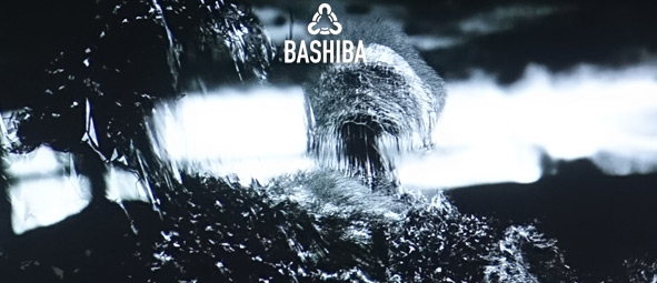 BASHIBA Art